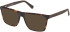 Guess GU50186 sunglasses in Dark Havana
