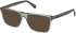 Guess GU50186 sunglasses in Shiny Light Green