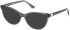 Guess GU50195 sunglasses in Light Blue/Horn