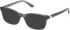 Guess GU50196 sunglasses in Blue/Horn