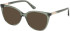 Guess GU50197 sunglasses in Shiny Light Green