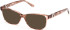 Guess GU50227 sunglasses in Shiny Beige