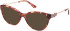 Guess GU50230 sunglasses in Red/Havana