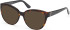 Guess GU50232 sunglasses in Dark Havana