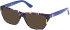 Guess GU50234 sunglasses in Blue/Havana