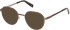 Guess GU50239 sunglasses in Dark Bronze