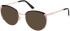 Guess GU50250 sunglasses in Matte Black