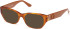 Guess GU50304-50 sunglasses in Blonde Havana