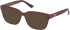 Guess GU50308-53 sunglasses in Shiny Bordeaux