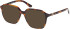 Guess GU50309 sunglasses in Coloured Havana