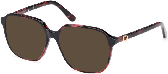 Guess GU50309 sunglasses in Bordeaux/Havana