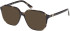 Guess GU50309 sunglasses in Dark Green/Havana