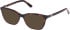 Guess GU50310-50 sunglasses in Bordeaux/Havana