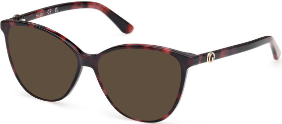 Guess GU50311-55 sunglasses in Bordeaux/Havana