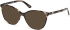 Guess GU50311-55 sunglasses in Dark Green/Havana