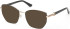 Guess GU50312-50 sunglasses in Shiny Dark Green