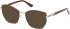 Guess GU50312-52 sunglasses in Shiny Bordeaux