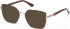 Guess GU50313-53 sunglasses in Shiny Bordeaux