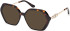 Guess GU50317 sunglasses in Dark Havana