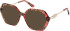 Guess GU50317 sunglasses in Bordeaux/Havana