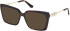 Guess GU50318 sunglasses in Dark Havana