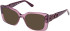 Guess GU50322 sunglasses in Shiny Violet