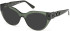 Guess GU50323 sunglasses in Shiny Dark Green