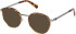 Guess GU50324 sunglasses in Blonde Havana