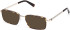 Guess GU50325 sunglasses in Dark Havana