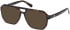 Guess GU50327 sunglasses in Dark Havana