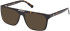 Guess GU50328 sunglasses in Dark Havana