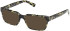 Guess GU50329-54 sunglasses in Dark Green/Havana