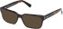 Guess GU50329-56 sunglasses in Dark Havana