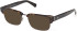 Guess GU50330 sunglasses in Dark Havana