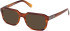 Guess GU50332 sunglasses in Light Brown/Horn