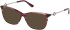 Guess GU50349-52 sunglasses in Bordeaux/Horn