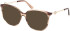 Guess GU50350 sunglasses in Yellow/Horn