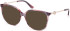 Guess GU50350 sunglasses in Pink/Horn