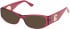 Guess GU50352 sunglasses in Shiny Bordeaux