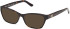 Guess GU50353-53 sunglasses in Dark Havana