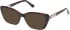 Guess GU50358 sunglasses in Dark Havana