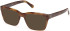 Guess GU50365 sunglasses in Light Brown/Horn