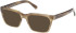 Guess GU50365 sunglasses in Light Green/Horn