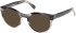 Guess GU50366 sunglasses in Grey/Horn