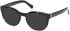 Guess GU50366 sunglasses in Dark Havana