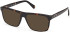 Guess GU50369 sunglasses in Dark Havana