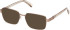 Guess GU50371 sunglasses in Shiny Light Brown