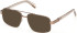 Guess GU50372 sunglasses in Shiny Light Brown