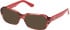 Guess GU50380 sunglasses in Red/Horn