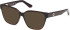 Guess GU50381 sunglasses in Dark Havana